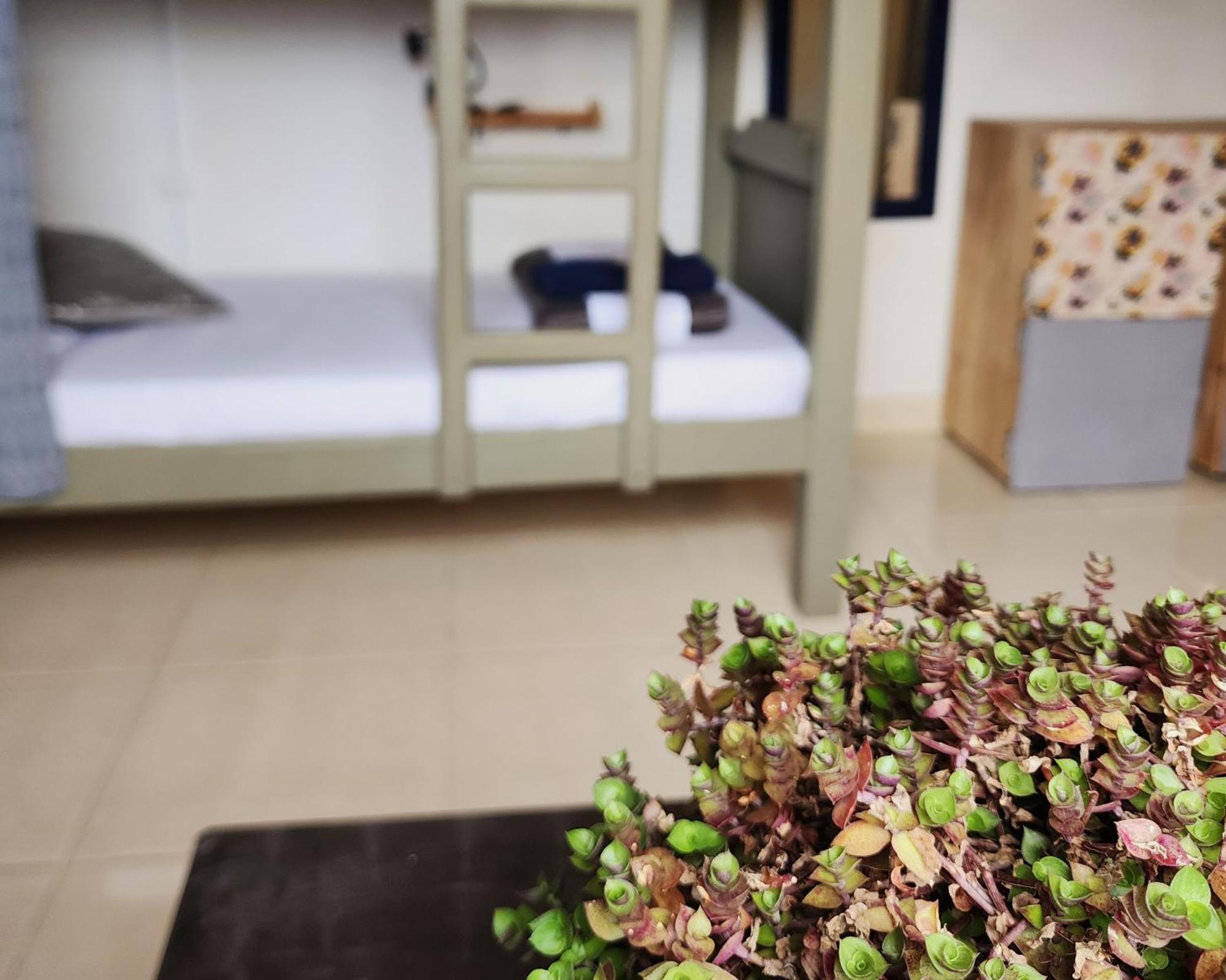 Casa Kayam Art Coliving Coworking Guatape