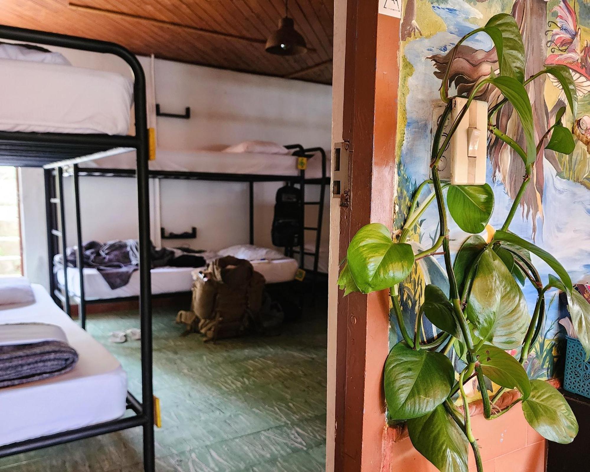 Casa Kayam Y Residencia Artística Albergue Guatapé